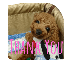 [LINEスタンプ] 蘭丸☆