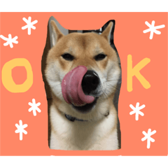 [LINEスタンプ] レオ太①