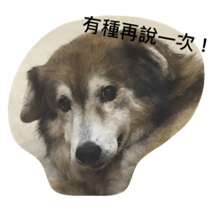 [LINEスタンプ] Lin Ron's facial expression pro