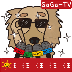 [LINEスタンプ] Dachshund dynamic.-1