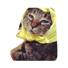 [LINEスタンプ] ぶぶはく