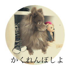 [LINEスタンプ] Daily Life of Two POMERANIANS