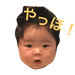 [LINEスタンプ] ひなたんといっしょ