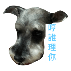 [LINEスタンプ] LuLu Daily