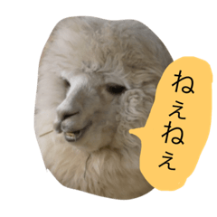 [LINEスタンプ] アルパカの結構使えるスタンプ