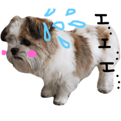 [LINEスタンプ] レオ之助様