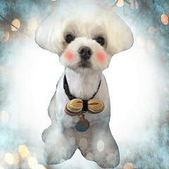 [LINEスタンプ] my doooog