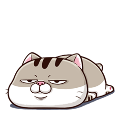 [LINEスタンプ] Ami-太った猫 可愛いの画像（メイン）