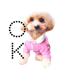 [LINEスタンプ] まいんすたんぷ