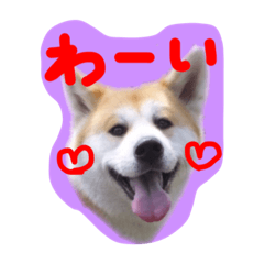 [LINEスタンプ] 秋田犬とまとfamily④