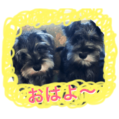 [LINEスタンプ] dogs ！
