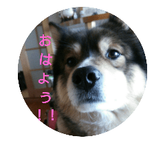[LINEスタンプ] ぼぅくんスタンプ
