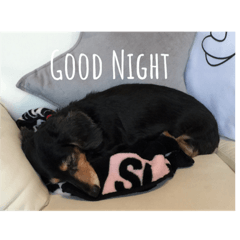 [LINEスタンプ] さあやりおまる