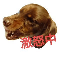 [LINEスタンプ] まろです