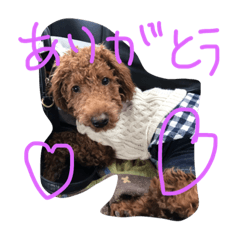 [LINEスタンプ] まるきり