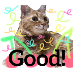 [LINEスタンプ] そらちゃんスタンプ2
