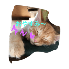 [LINEスタンプ] ニャンコ好きの画像（メイン）