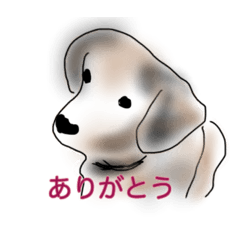 [LINEスタンプ] 大好きなジョン