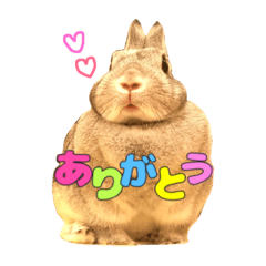 [LINEスタンプ] RABBIT1010TOTO2の画像（メイン）