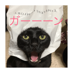[LINEスタンプ] だいふくの日々