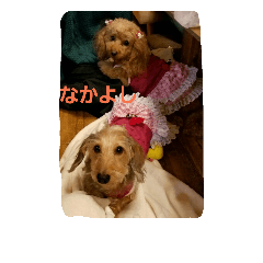 [LINEスタンプ] cutty.sar.k