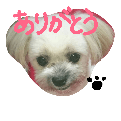 [LINEスタンプ] paruritan