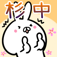 [LINEスタンプ] 杉中さん専用40個入♪名前スタンプ♪