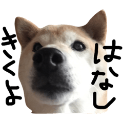 [LINEスタンプ] 犬と馬が語る