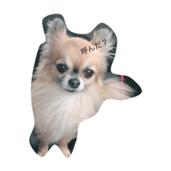 [LINEスタンプ] 翔ちゃーん