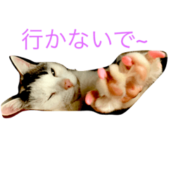 [LINEスタンプ] みいちゃんの日常スタンプ