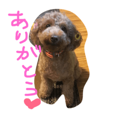 [LINEスタンプ] ももちゃん＆りく