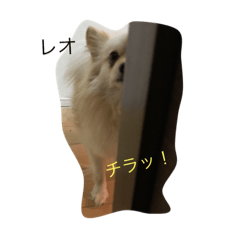 [LINEスタンプ] rechabarr
