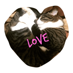 [LINEスタンプ] あわし