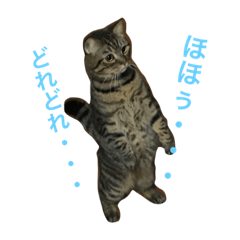 [LINEスタンプ] ルークん バージョン2