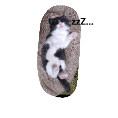 [LINEスタンプ] こねこのちび