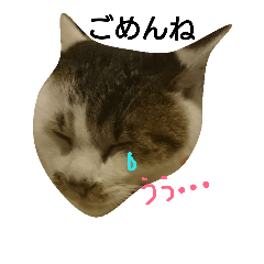[LINEスタンプ] 空ちゃんスタンプ 2