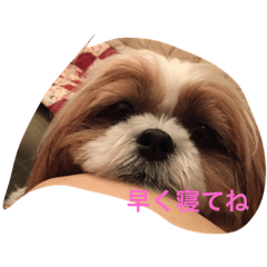 [LINEスタンプ] ABClife