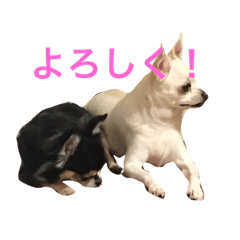 [LINEスタンプ] けけけとくくく