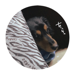 [LINEスタンプ] 杉山家