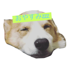 [LINEスタンプ] 快君スタンプ