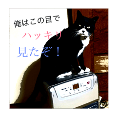 [LINEスタンプ] ダルまる