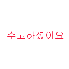 [LINEスタンプ] serious Korea language.