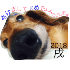 [LINEスタンプ] パル生活