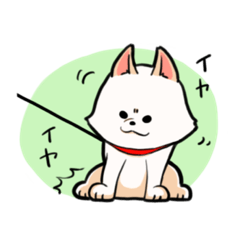 [LINEスタンプ] 白柴ユキちゃん