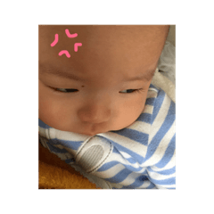 [LINEスタンプ] 幸暉