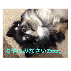 [LINEスタンプ] トレプンのアイドルミルトさん