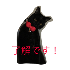 [LINEスタンプ] キャット キャット キャット