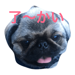 [LINEスタンプ] ペー山