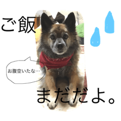[LINEスタンプ] フクちゃんの日常