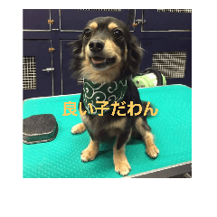 [LINEスタンプ] れおたんの日常
